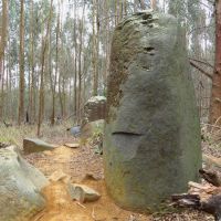 Standing Stones of Karkloof