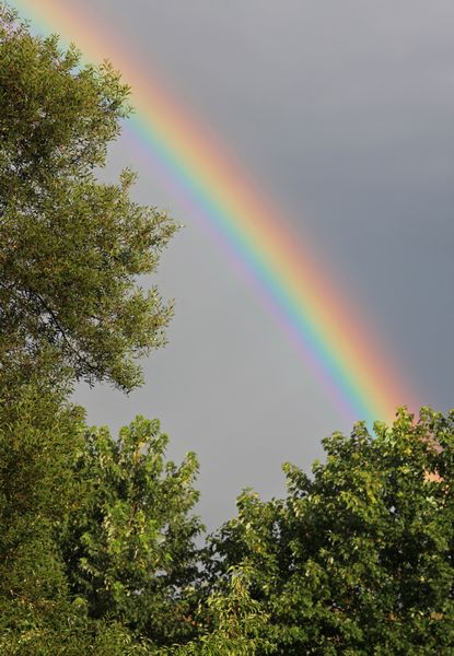 Brilliant rainbow after storm